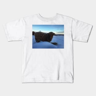 Scottish Highland Cattle Calf 1876 Kids T-Shirt